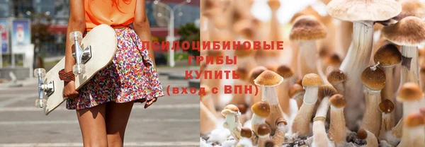 ПСИЛОЦИБИНОВЫЕ ГРИБЫ Алексеевка