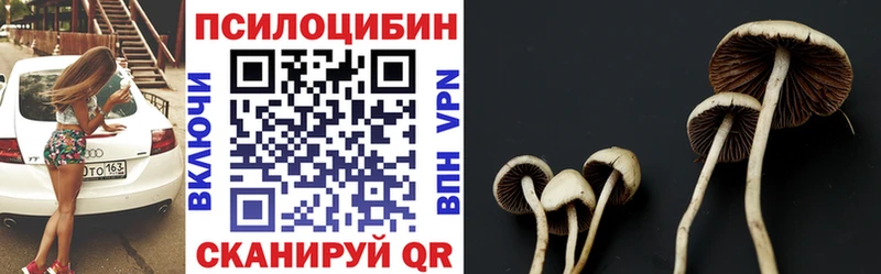 Псилоцибиновые грибы мицелий  как найти закладки  Лысково 